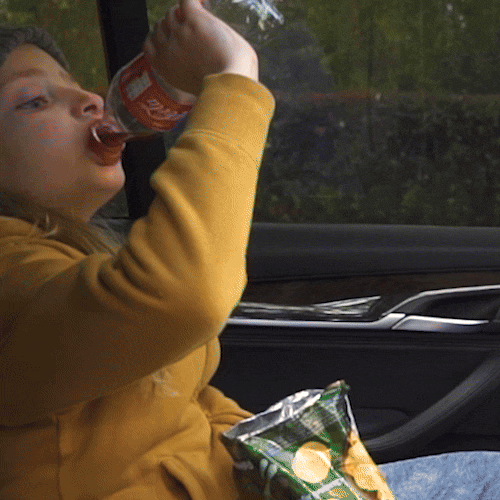 Spill-Proof Car Trash Can – Car Trash Bag – 2.5 Ga (1)